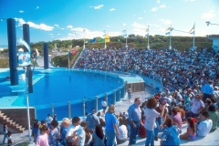 Aquarium-Mar-del-Plata-09