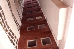 Colon-05