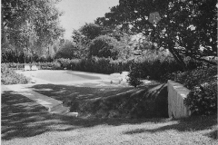 Di-Domenico-05