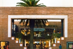 La-Palmera-01