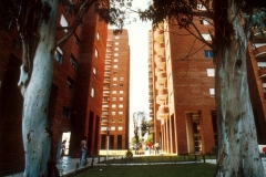 Los-Andes-03