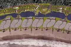 MOGOTES